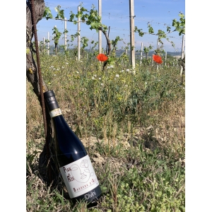 Idivini, Pian di Rös 2020
